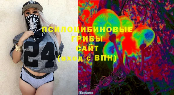 гидропоника Алзамай